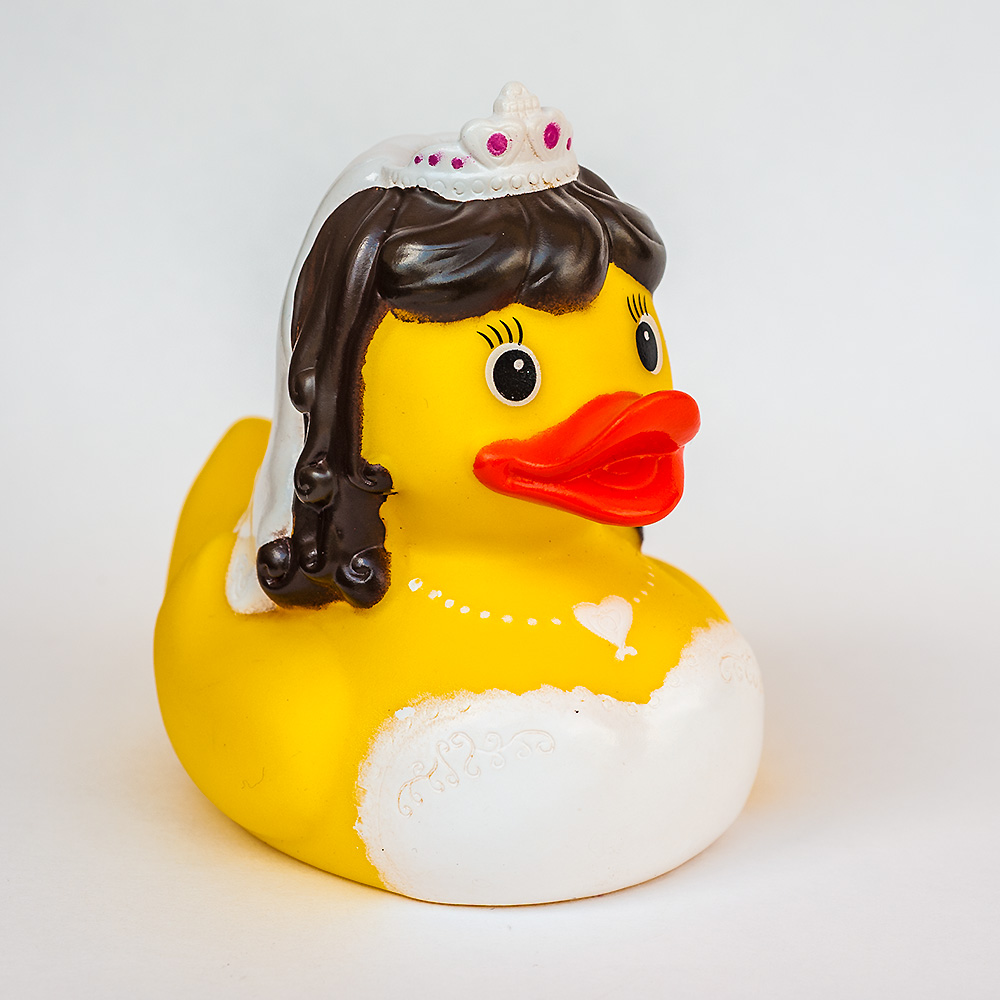 Gestatten, Prinzessin Ducklasia von und zu Entenhausen