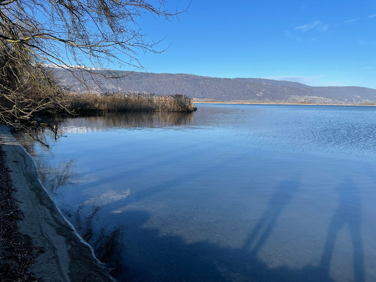 Gestern 2021 am Bielersee