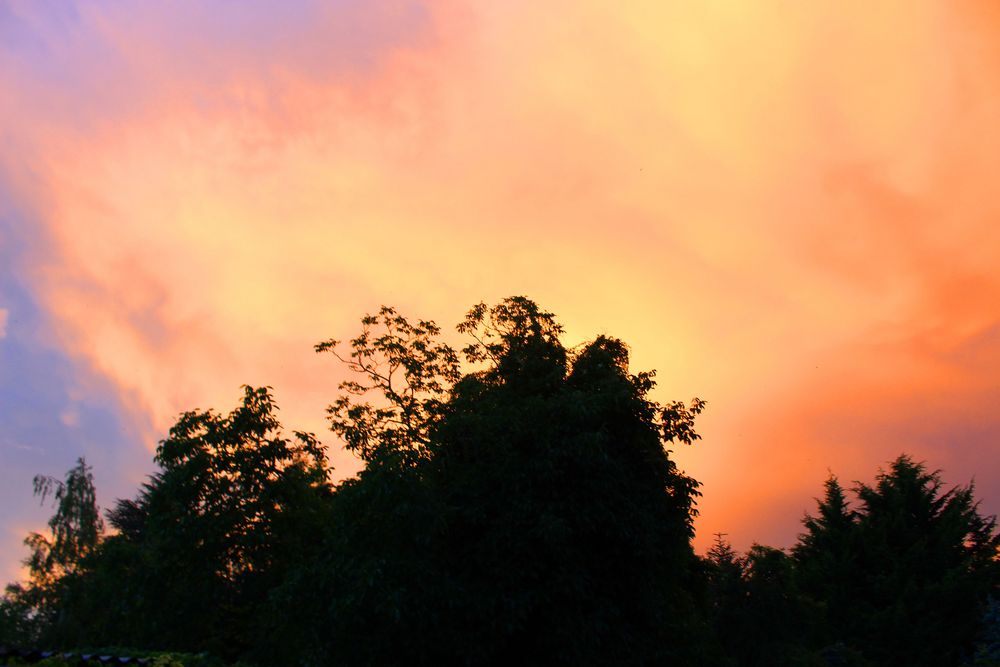 gestern 21:30 nach dem Gewitter