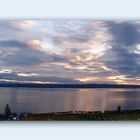 Gestern Abend am Bodensee - ein Blick aus den Weinbergen