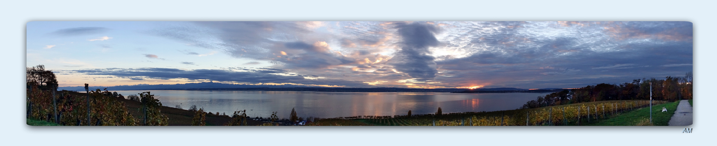 Gestern Abend am Bodensee - ein Blick aus den Weinbergen