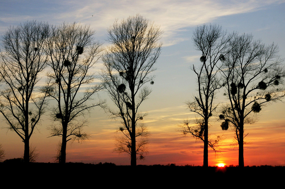 Gestern Abend am Haarstrang.