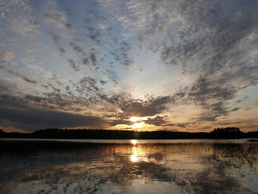 Gestern Abend am Joutsijärvi