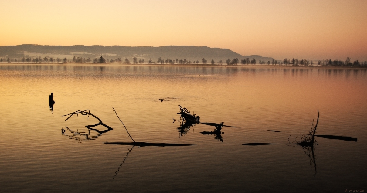 gestern Abend am Kochelsee..