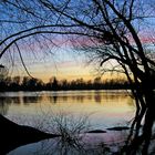 Gestern Abend am Rhein