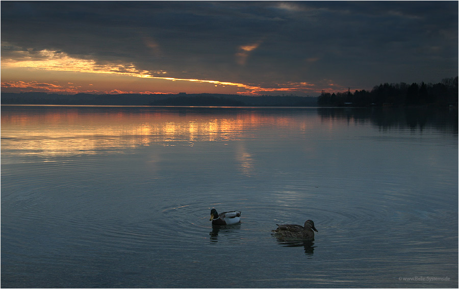 Gestern Abend am Wörthsee - (n+1) = XV :-)