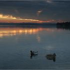 Gestern Abend am Wörthsee - (n+1) = XV :-)