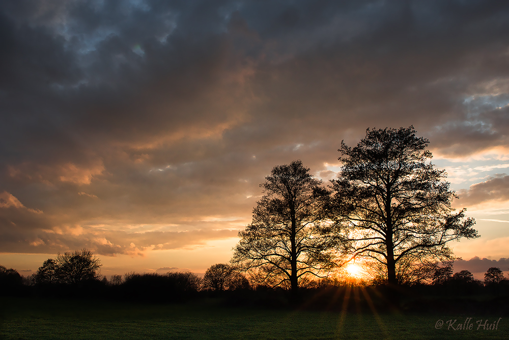 ..Gestern Abend bei uns im Recker Moor...