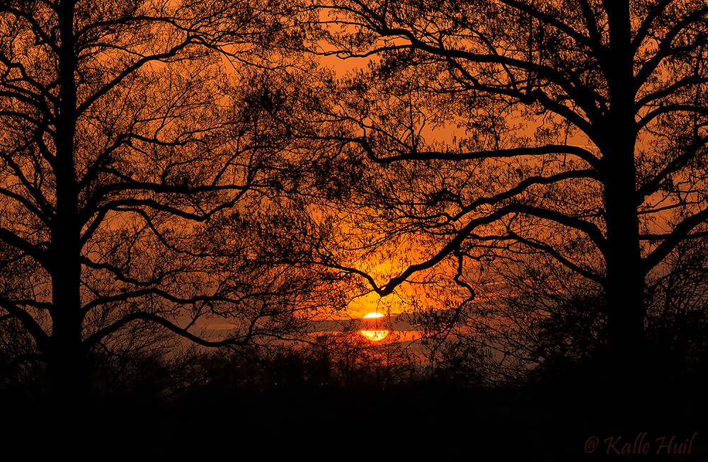 ..Gestern Abend bei uns im Recker Moor...2014...