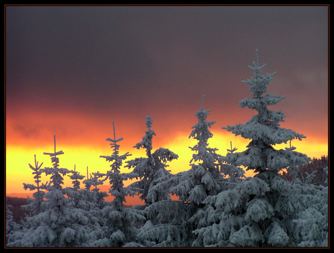 Gestern Abend im Harz