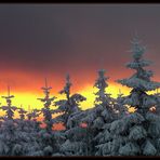 Gestern Abend im Harz