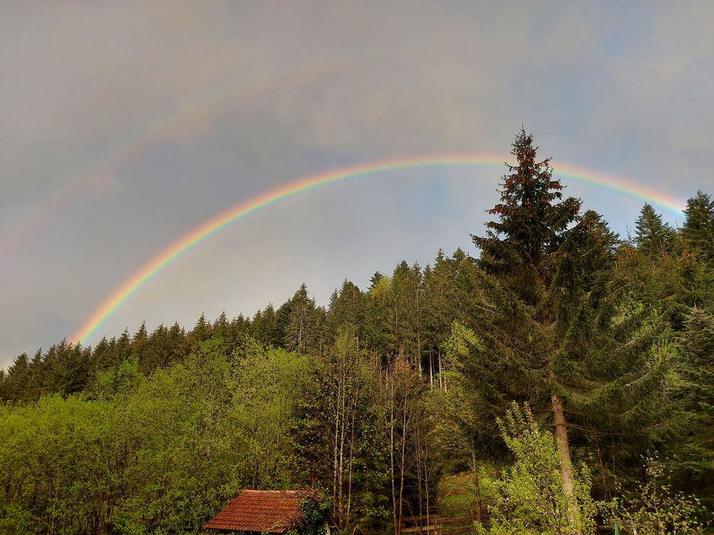 Gestern Abend in den Vogesen