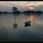 gestern Abend in der Badi Tägerwilen Sonnenuntergang mit Schwan