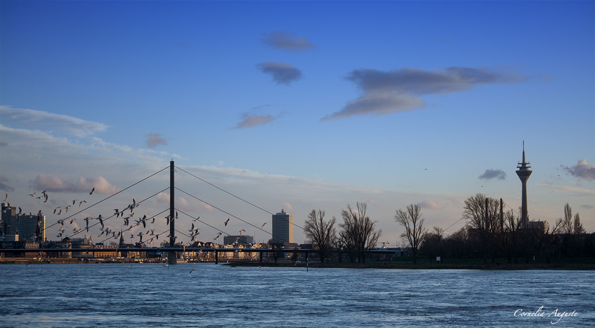 Gestern Abend in Düsseldorf.