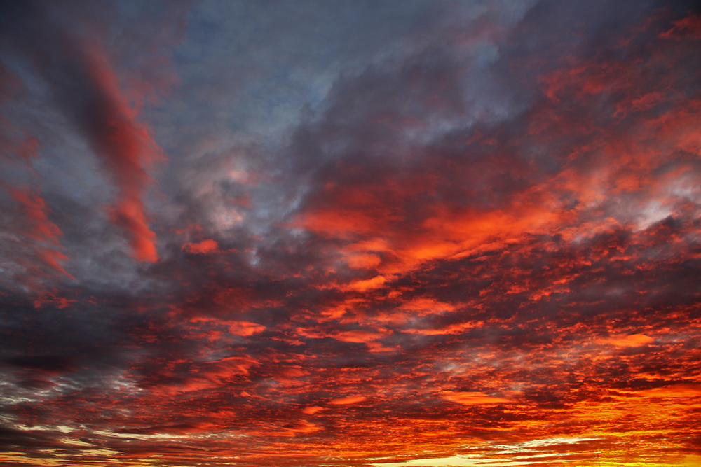 gestern Abend kurz nach Sonnenuntergang aufgenommen