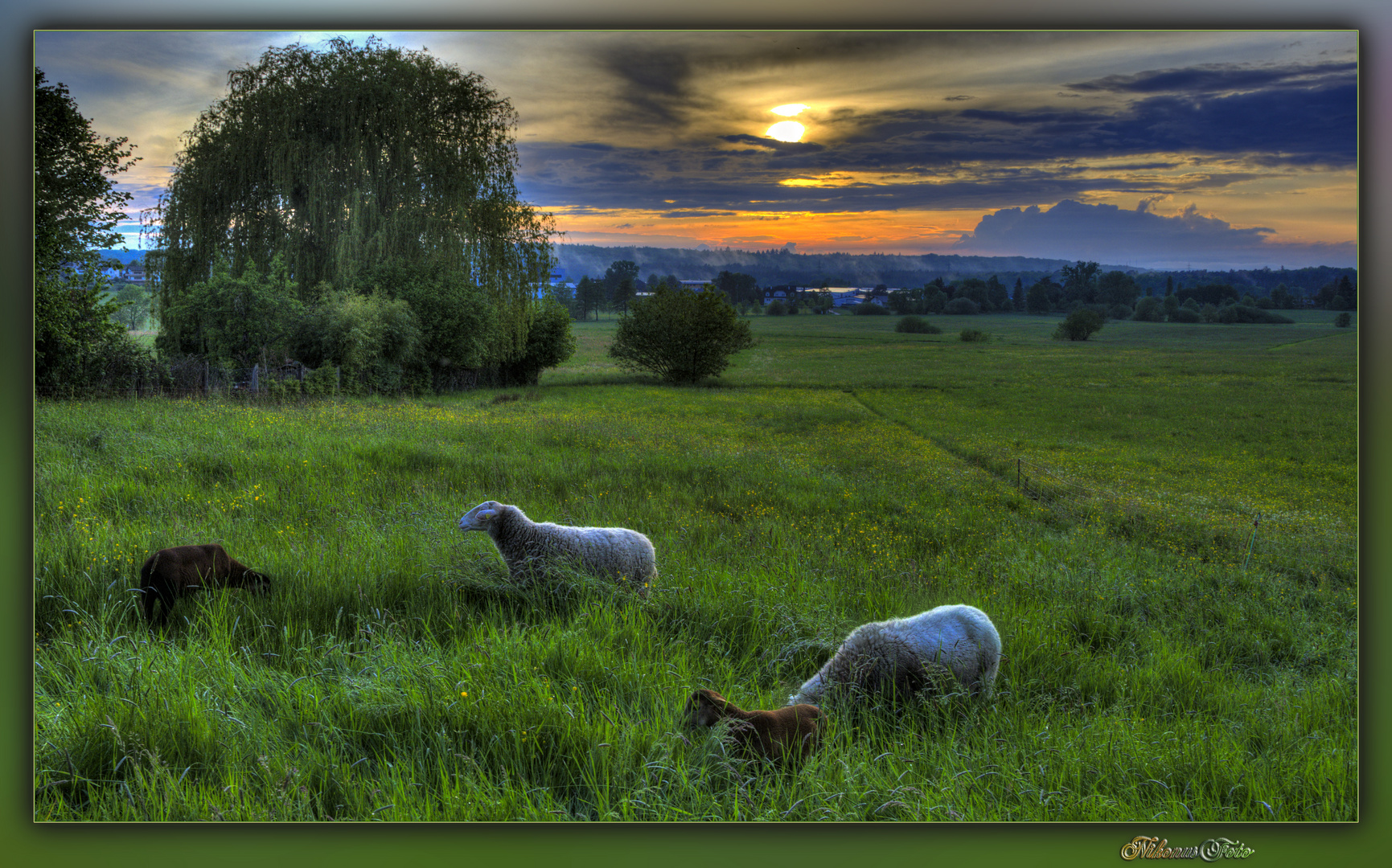  gestern Abend nach dem Gewitter