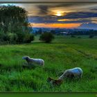  gestern Abend nach dem Gewitter