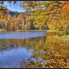 gestern am albertsee ...