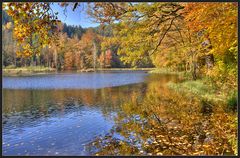 gestern am albertsee ...