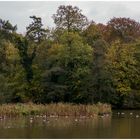 Gestern am Aprather Mühlenteich