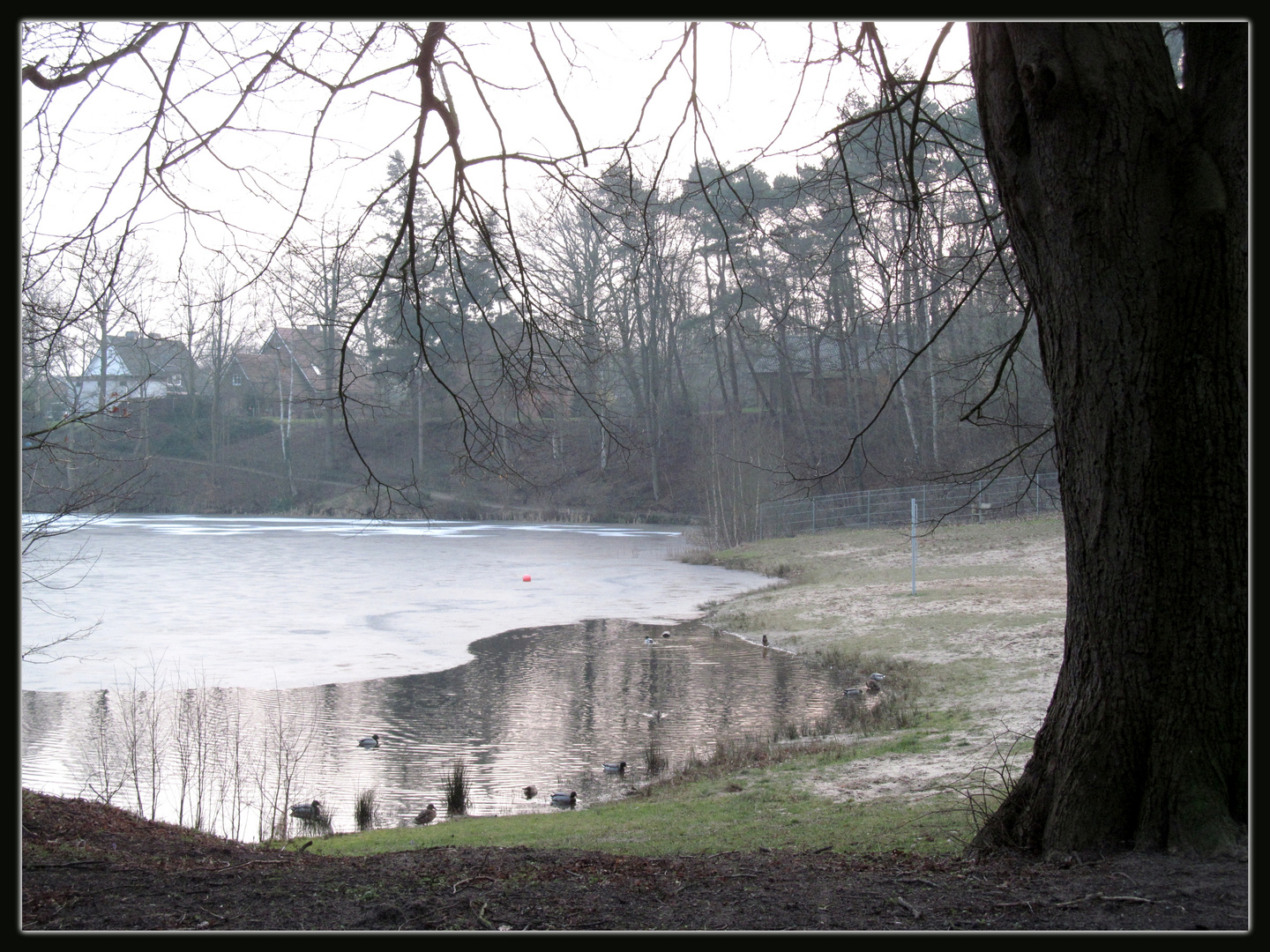 gestern am Badesee .... es war schon nach 17.00h