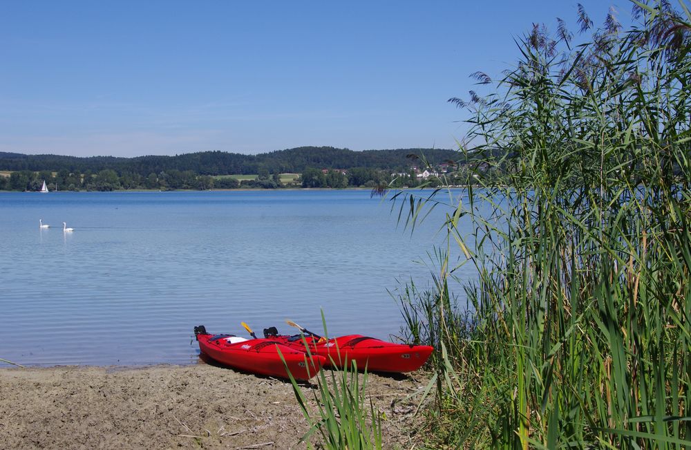 Gestern am Bodensee