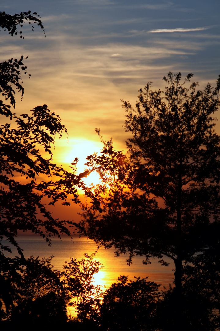 Gestern .... am Bodensee