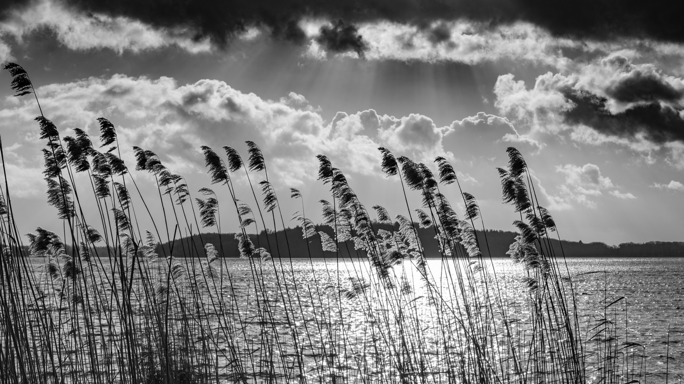 Gestern am Kellersee