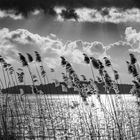 Gestern am Kellersee