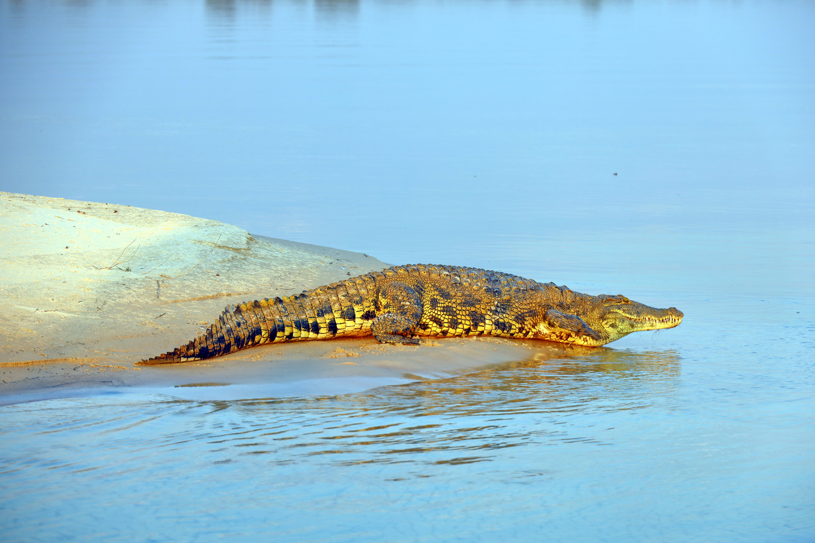 Gestern am Kwando River in Namibia (2)