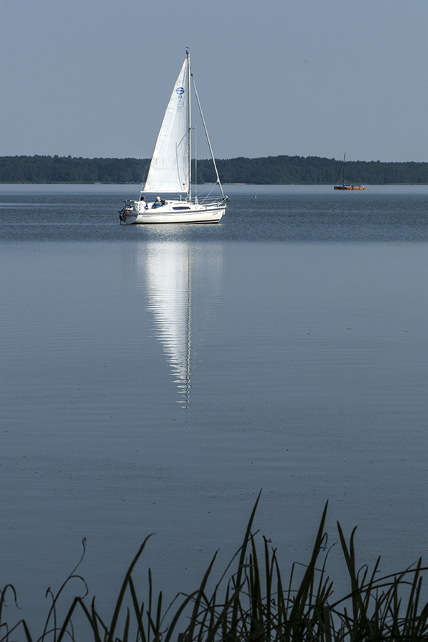 Gestern am Steinhuder Meer