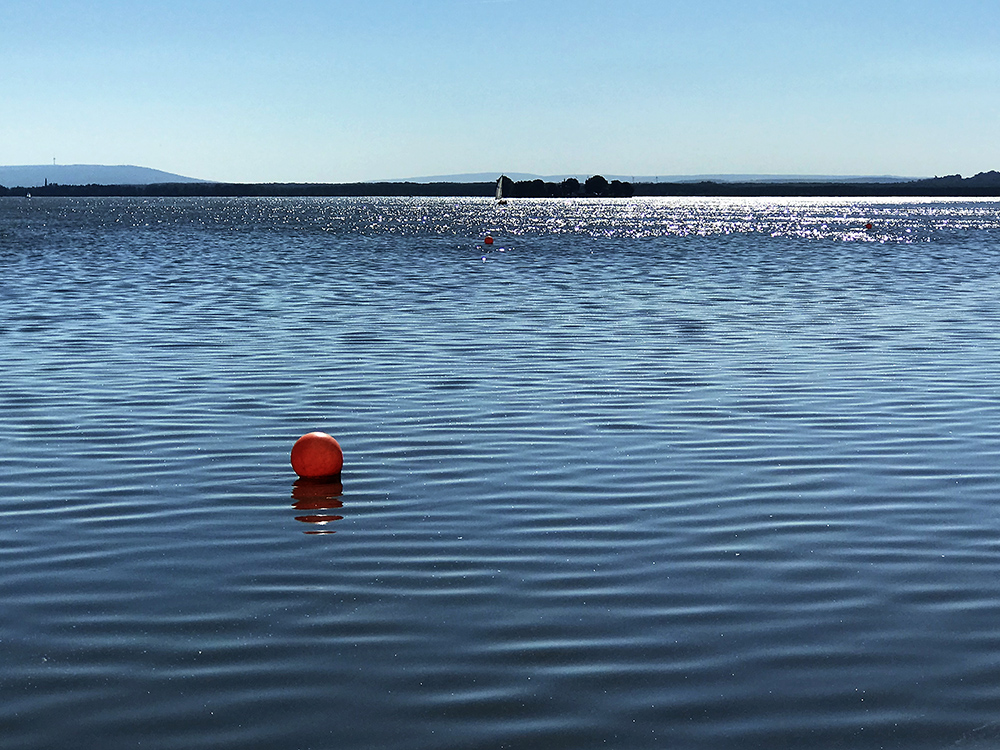 Gestern am Steinhuder Meer