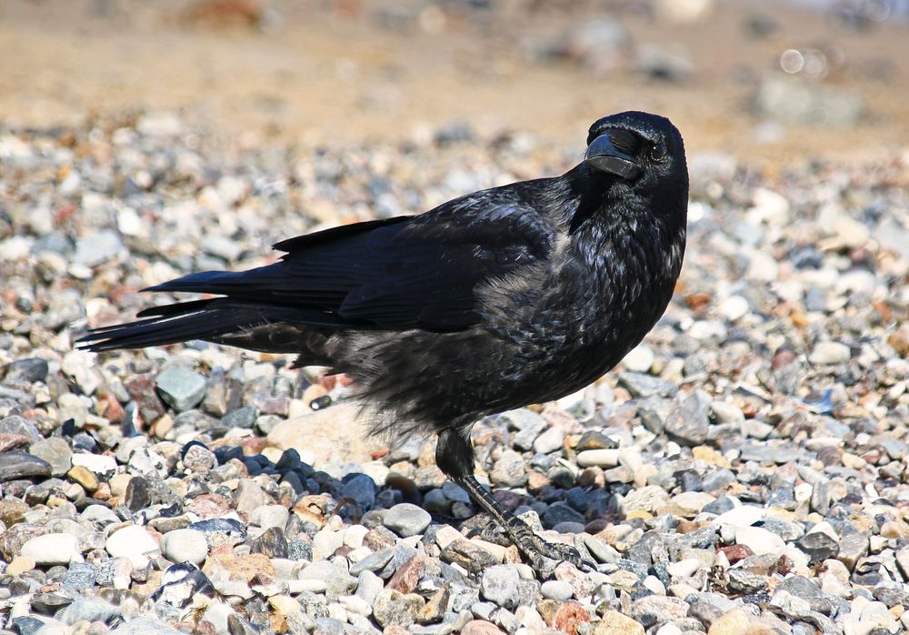 Gestern am Strand