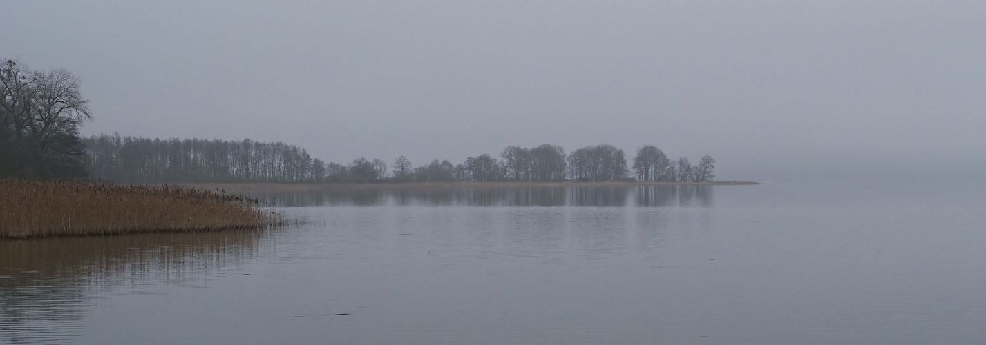 Gestern am Tollensesee