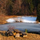 Gestern am Weiher