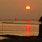 Gestern an der Elbe/Stör (2)