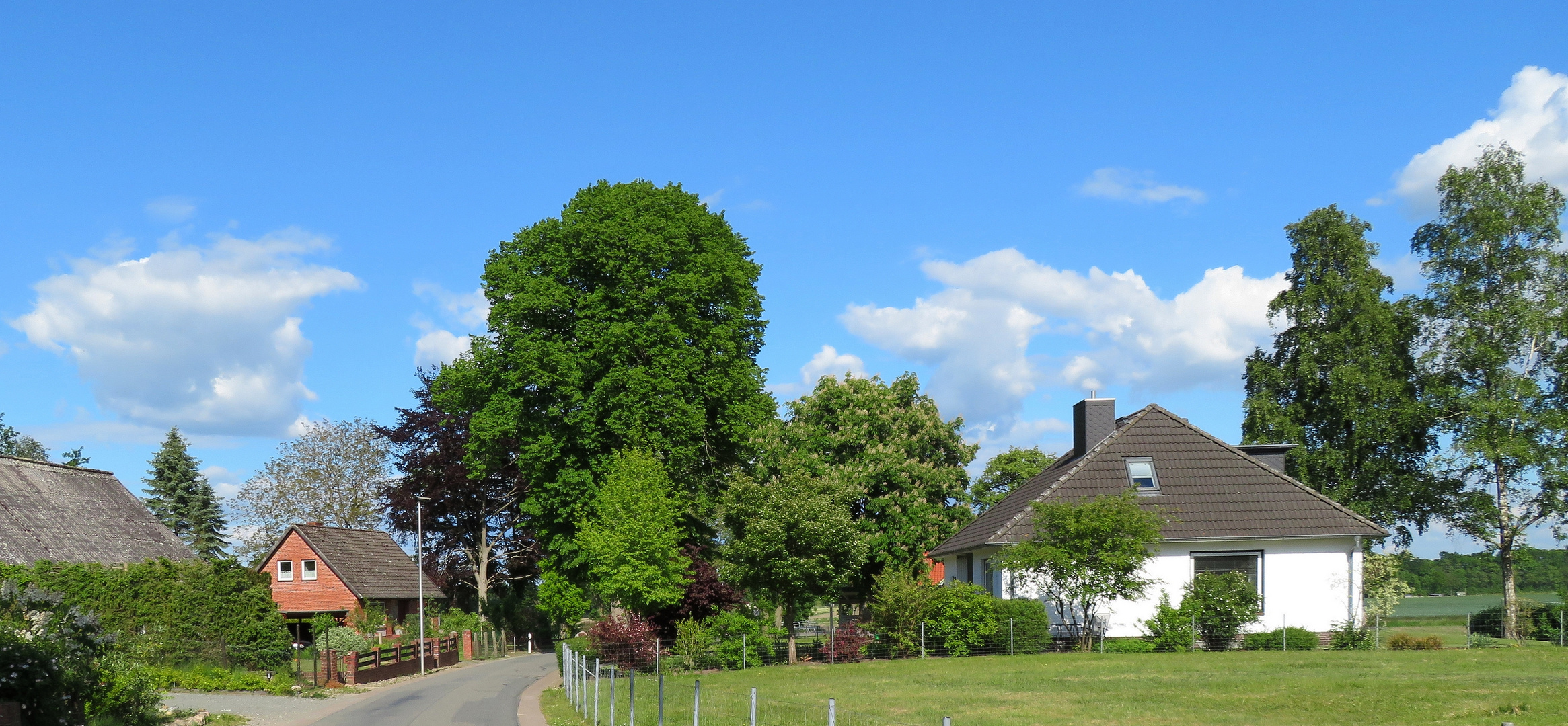 Gestern auf dem Weg zum Kanal .....