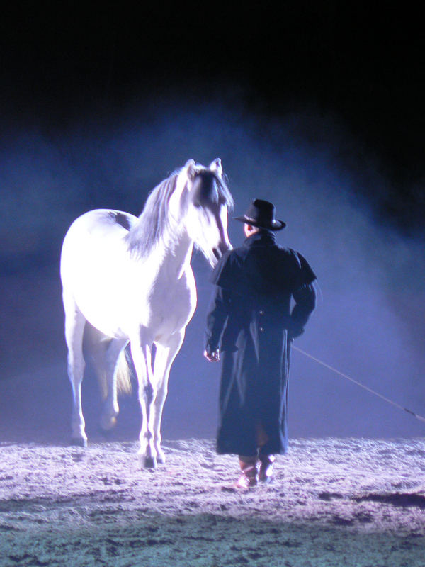 gestern auf der equi-magic