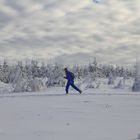 Gestern auf der Hochheide III...