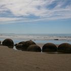 Gestern bei den Moeraki Boulders