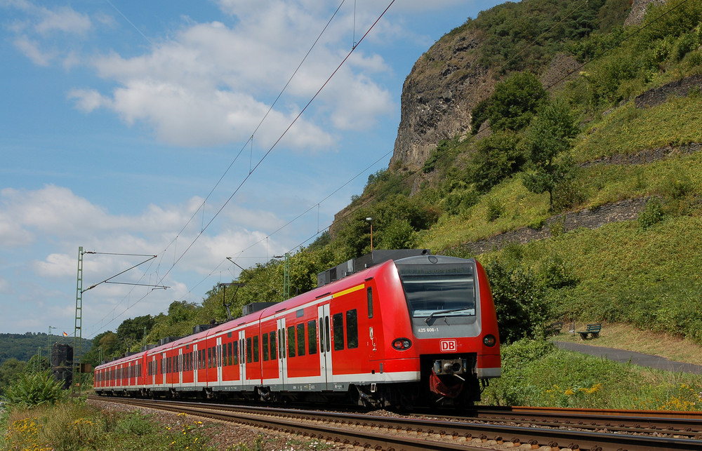 Gestern bei Erpel