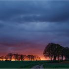 Gestern bei Oelstorf