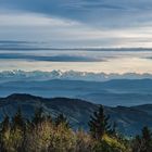 gestern Blick in die Alpen