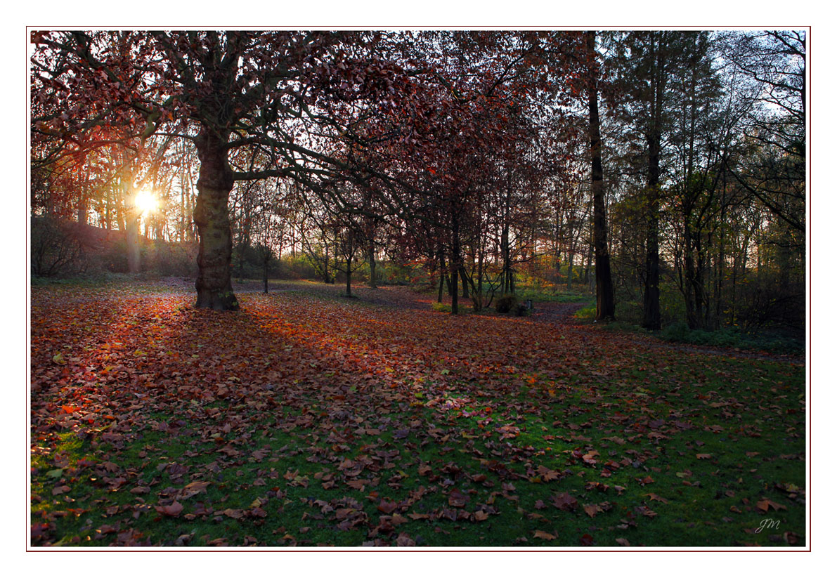 Gestern, der 16 Nov 2011 um 15:45 Uhr