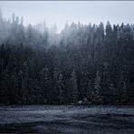 Gestern: Der Glaswaldsee schaurig winterlich