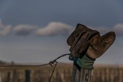 gestern einen Handschuh in den Weinbergen gefunden