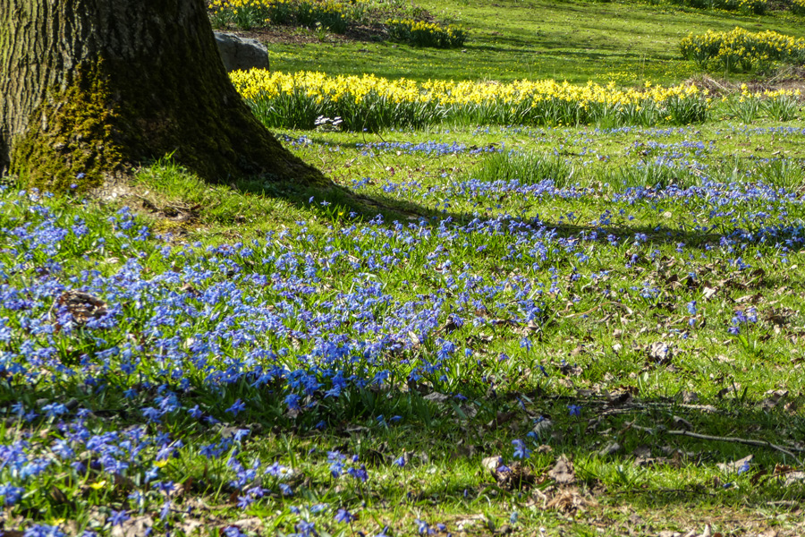 Gestern fand der Frühling statt!