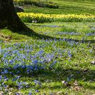 Gestern fand der Frühling statt!