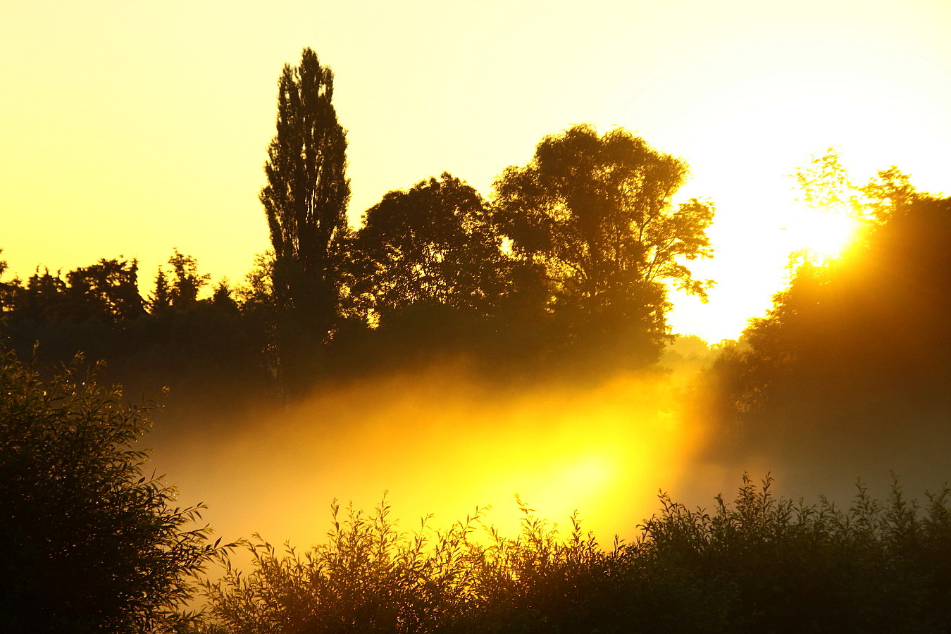 Gestern früh (2)