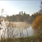 Gestern früh am Buschgrabensee